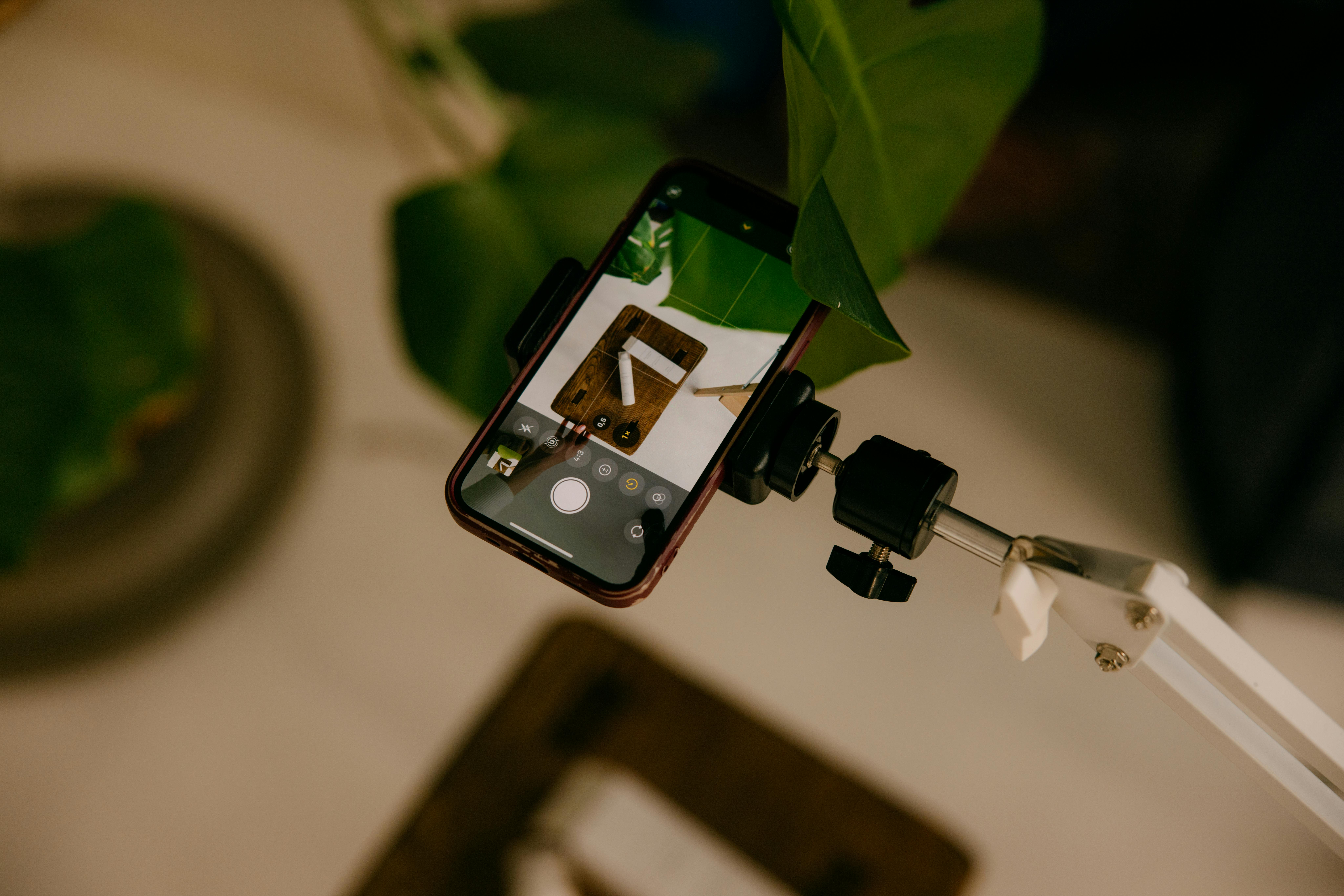 5 Tips for Stunning Smartphone Photography